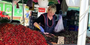 У Києві розпочався сезон черешні: які ціни на ринках
