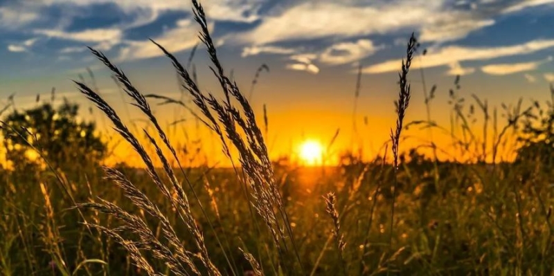 Літня спека накрила Прикарпаття: прогноз на 26 червня