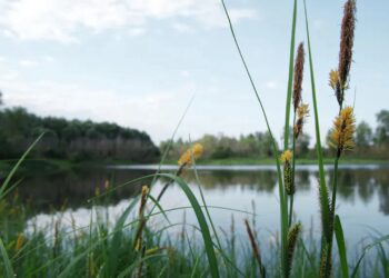 Трагедія в Болградському районі: загинув малолітній хлопчик