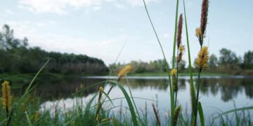 Трагедія в Болградському районі: загинув малолітній хлопчик