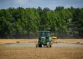 Українські аграрії засіяли 97% площ зернових
