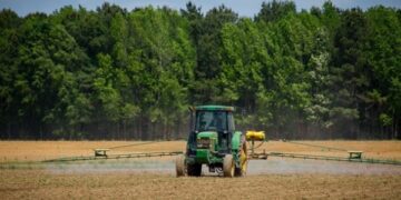 Українські аграрії засіяли 97% площ зернових