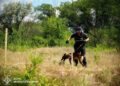 Чотирилапі сапери ДСНС на Миколаївщині: як готують собак до розмінування, – ФОТО