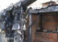 У Запоріжжі ворожий дрон пошкодив приватний будинок, поранено жінку