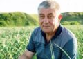 Майже, якщо не точно 90 відсотків посадкового матеріалу часнику Любаша на ринку є підробками – так стверджує селекціонер Іван Захаренко