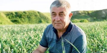 Майже, якщо не точно 90 відсотків посадкового матеріалу часнику Любаша на ринку є підробками – так стверджує селекціонер Іван Захаренко