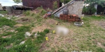На Миколаївщині чоловік застрелив сусідське цуценя, – ФОТО