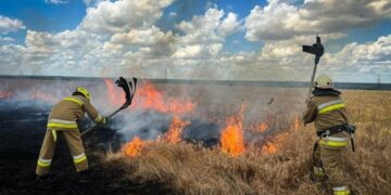 Опіки та госпіталізація: на Миколаївщині пенсіонерка травмувалася під час пожежі на дачі, – ФОТО