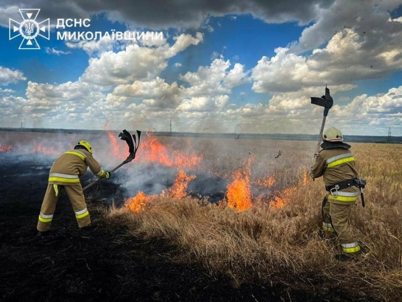 Опіки та госпіталізація: на Миколаївщині пенсіонерка травмувалася під час пожежі на дачі, - ФОТО