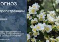 Погода у Придніпров’ї 6 червня
