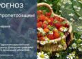 Погода у Січеславщині 5 червня