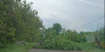 Село, яке багато літ поспіль волає «Караул!»: це село Орлове, мешканці якого заявляють про безпрецедентну ізоляцію, бо живуть без води, магазинів, поштового зв»язку та інших послуг, закінчуючи бездоріжжям