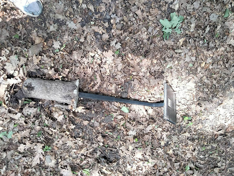 У Ботанічному саду ДНУ помітили юних вандалів