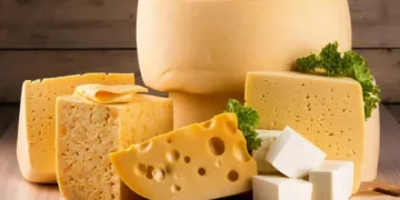 Український виробник твердих сирів підкорює британський ринок