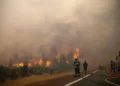 Прем’єр Іспанії про лісові пожежі: це наслідок кліматичної кризи