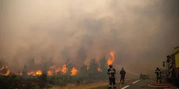 Прем’єр Іспанії про лісові пожежі: це наслідок кліматичної кризи