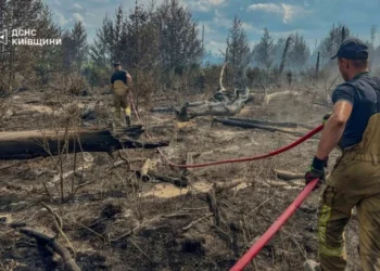 Рятувальники ліквідували масштабну пожежу в Чорнобильській зоні (фото, відео)