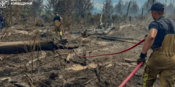 Рятувальники ліквідували масштабну пожежу в Чорнобильській зоні (фото, відео)