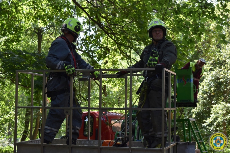 У Києві рятувальники прибрали чотиритонне дерево, що впало на житловий будинок (фото)