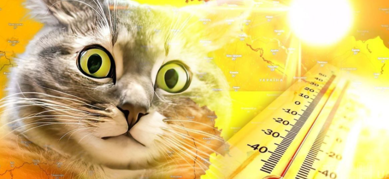 +40°C стане нормою? Метеоролог зробив тривожний прогноз для України