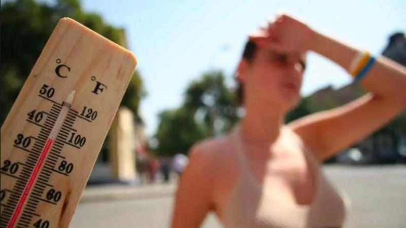 Аномальна спека. У Європі 1300 смертей, у Німеччині рекордні 41,7°C. В Україні готуються до відключень