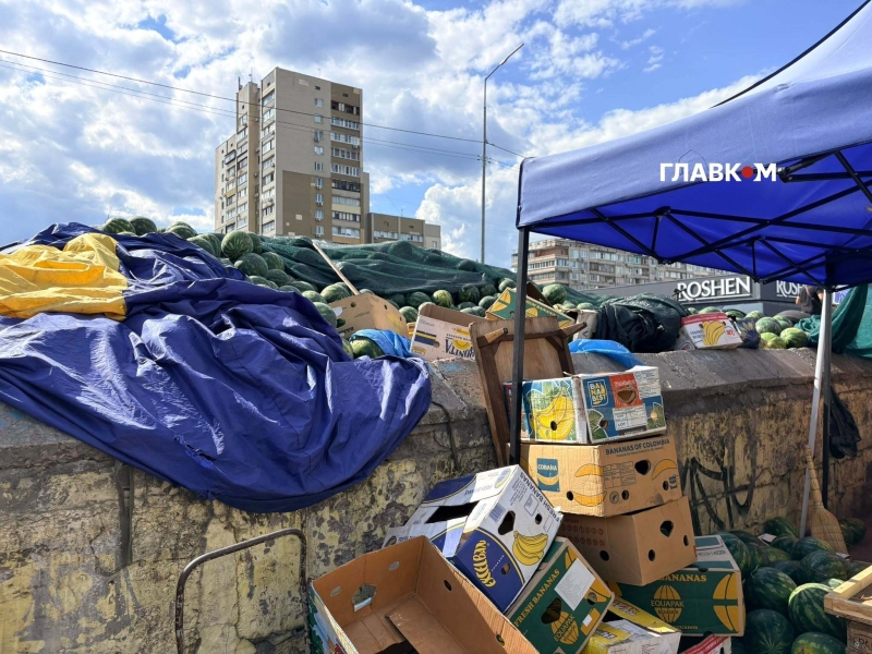 Сезон у розпалі: скільки коштують кавуни та дині на столичному ринку