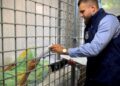 Удар ракетами по виставці під Києвом: організатору вручили підозру, він також поранений — нові деталі