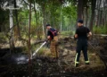 Два тижні боротьби з вогнем: пожежу в Чорнобильській зоні ліквідовано (фото, відео)