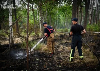Два тижні боротьби з вогнем: пожежу в Чорнобильській зоні ліквідовано (фото, відео)