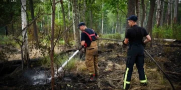 Два тижні боротьби з вогнем: пожежу в Чорнобильській зоні ліквідовано (фото, відео)