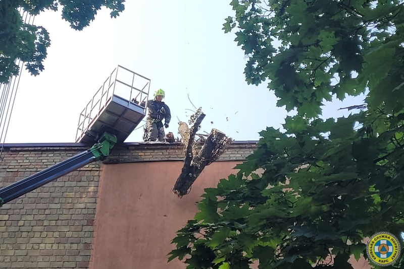 У Києві рятувальники прибрали чотиритонне дерево, що впало на житловий будинок (фото)