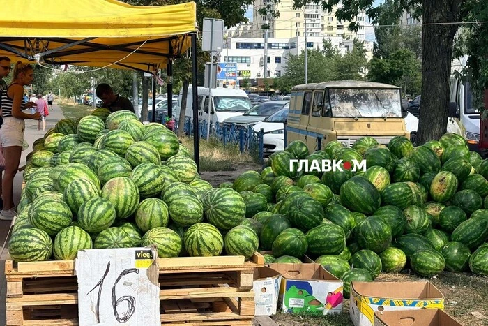 Сезон у розпалі: скільки коштують кавуни та дині на столичному ринку