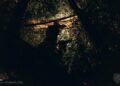 Ворог просунувся на захід від Гуляйполя Запорізької області, – Deep State