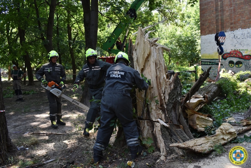 У Києві рятувальники прибрали чотиритонне дерево, що впало на житловий будинок (фото)