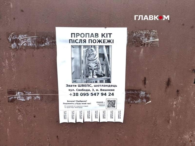 «Чорнобиль – це квіточки, порівняно з цим». Мешканці Вишневого – про пережиту трагедію