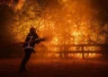 У Франції та Іспанії триває масштабна евакуація