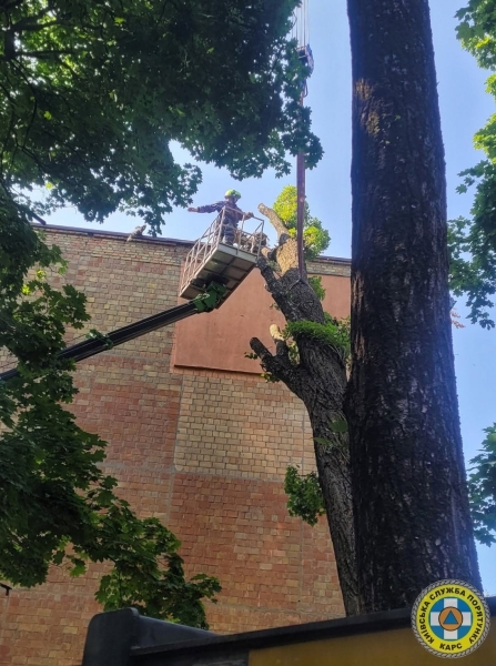 У Києві рятувальники прибрали чотиритонне дерево, що впало на житловий будинок (фото)