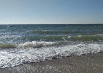 На популярних пляжах Одеси перевірили якість морської води: які результати