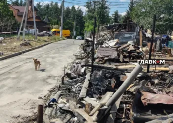 «Вишневого і Чернігова мало – на тобі ще раз!» Як Капітанівка оговтується після удару по виставці зброї