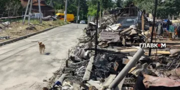 «Вишневого і Чернігова мало – на тобі ще раз!» Як Капітанівка оговтується після удару по виставці зброї