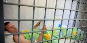 Організатор виставки зброї в Київській області був затриманий та отримав підозру після атаки РФ