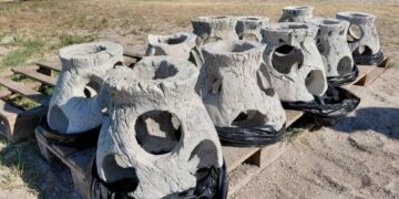Екологічний прорив на Миколаївщині: у Березанському лимані встановили перші штучні рифи, – ФОТО