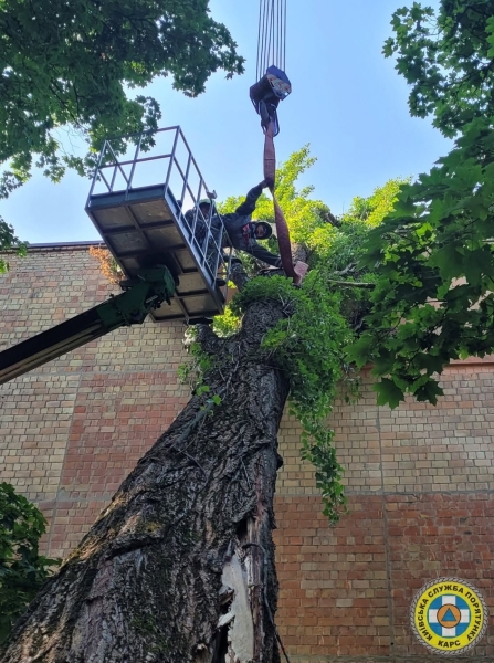 У Києві рятувальники прибрали чотиритонне дерево, що впало на житловий будинок (фото)