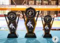    На чемпіонаті України з дзюдо представники Дніпропетровщині здобули 4 нагороди