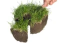 Нове речове право на землю передбачатиме лише сплату земельного податку