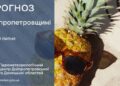 Погода у Січеславщині 30 липня
