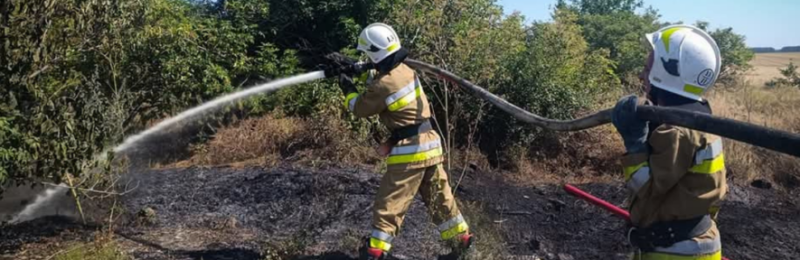 Пожежна небезпека на Миколаївщині: за добу ліквідовано 31 загоряння, палали будинки, автівки та пшениця, - ФОТО
