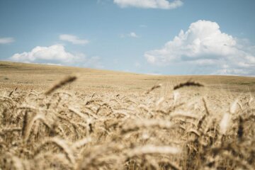 Що з приводу погоди серпень місяць нам готує: плюс 25 за Цельсієм, але посуха на заході