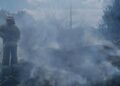 Вогонь охопив понад 10 гектарів: на Миколаївщині за добу ліквідували 14 пожеж, – ФОТО