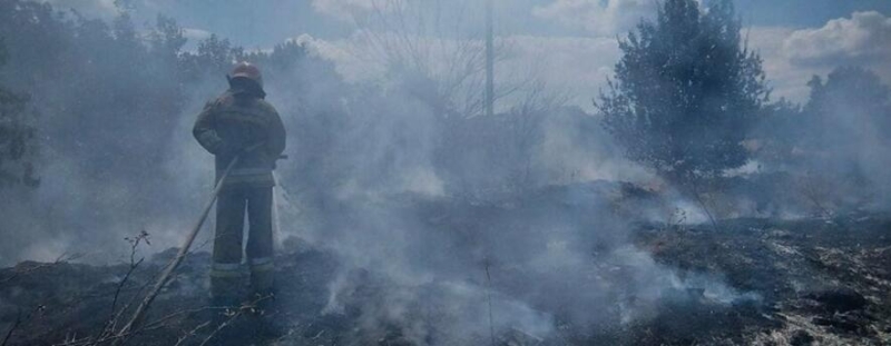 Вогонь охопив понад 10 гектарів: на Миколаївщині за добу ліквідували 14 пожеж, - ФОТО